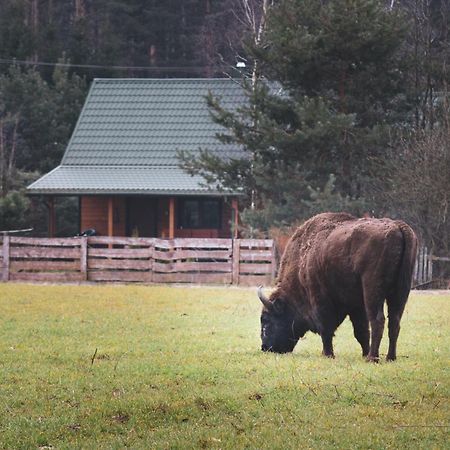 Lesna 21 Dom Polnoc Przy Zalew Siemianowka Villa Luka Exterior foto