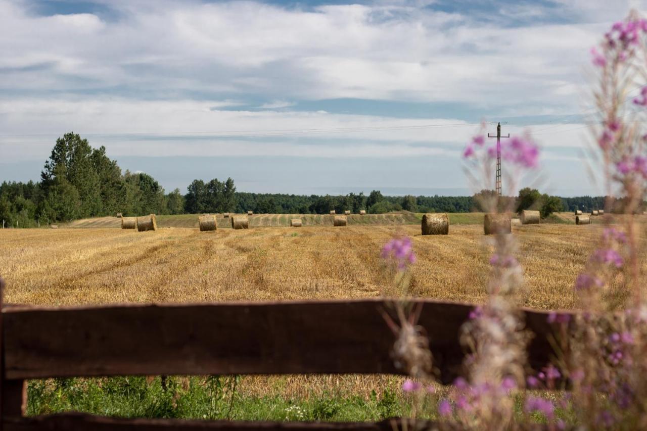 Lesna 21 Dom Polnoc Przy Zalew Siemianowka Villa Luka Exterior foto
